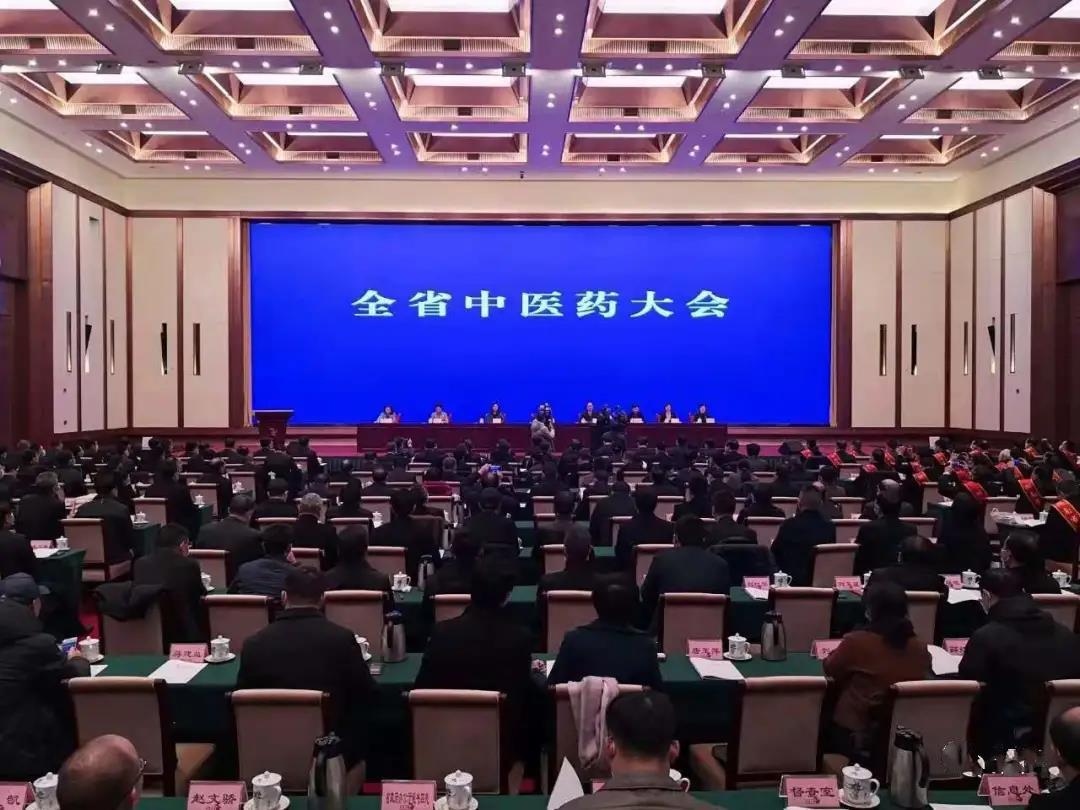 见证盛典，公司应邀参加 湖南省中医药大会